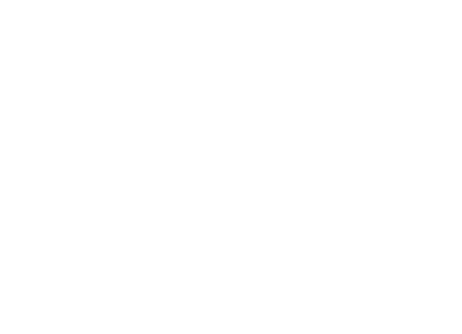 Bizos Cavallo